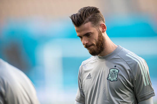 David de Gea of the Spanish national football team at a