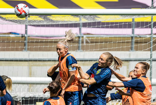 Amanda Ilestedt and Magdalena Eriksson of Sweden