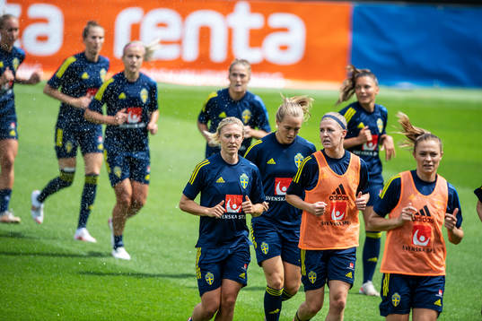 Players of Sweden