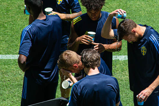 Sebastian Larsson, Jens Cajuste and Marcus Berg of the