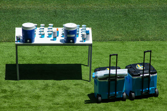 Water for the players of the Swedish national football team