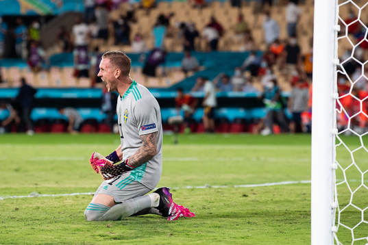 goalkeeper Robin Olsen of Sweden celebrates