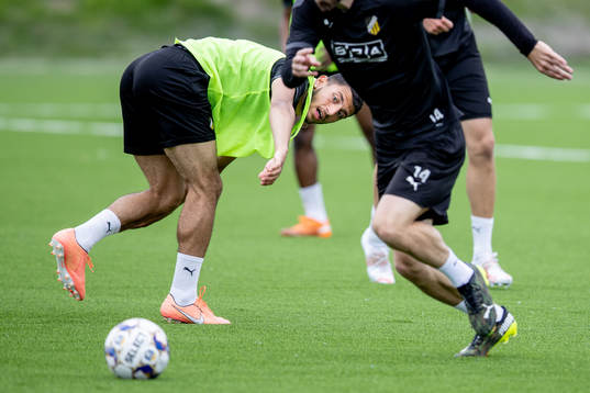Häckens Leonardo Farah Shahin