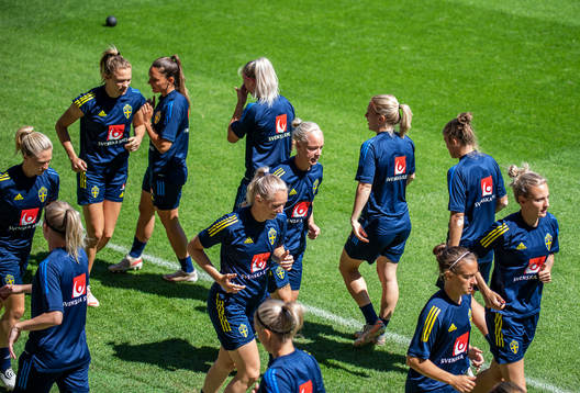 Players of Sweden
