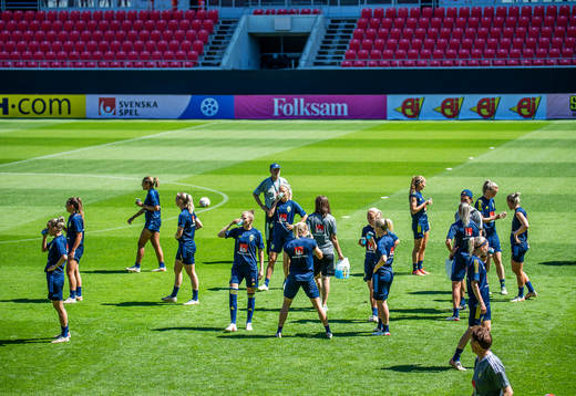 Players of Sweden