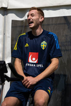 In this handout photo from the Swedish Football Association