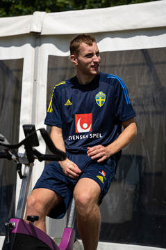 In this handout photo from the Swedish Football Association