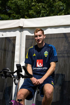 In this handout photo from the Swedish Football Association