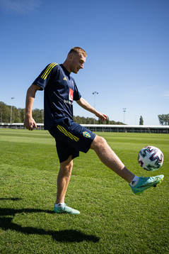 In this handout photo from the Swedish Football Association