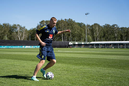 In this handout photo from the Swedish Football Association