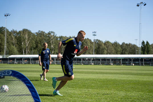 In this handout photo from the Swedish Football Association