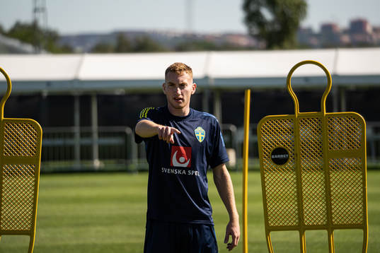 In this handout photo from the Swedish Football Association