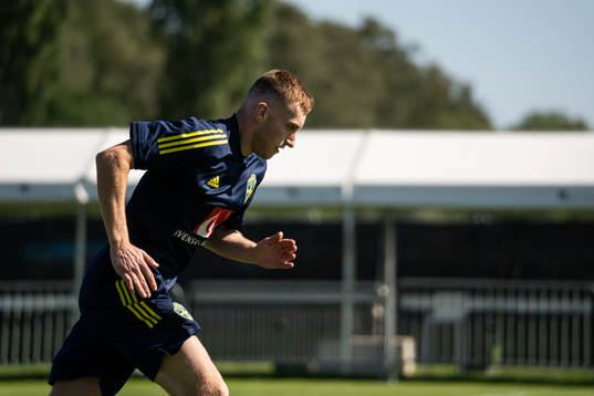 In this handout photo from the Swedish Football Association