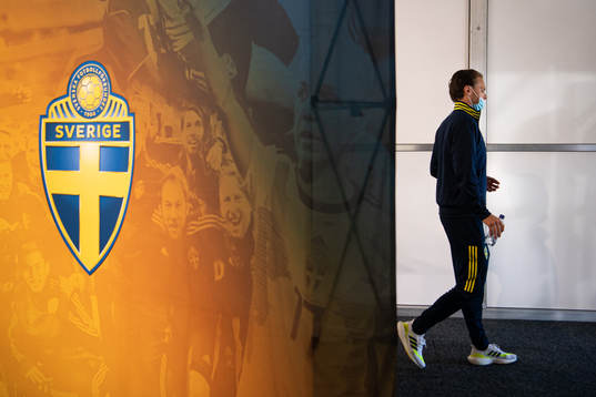Albin Ekdal of the Swedish national football team at a