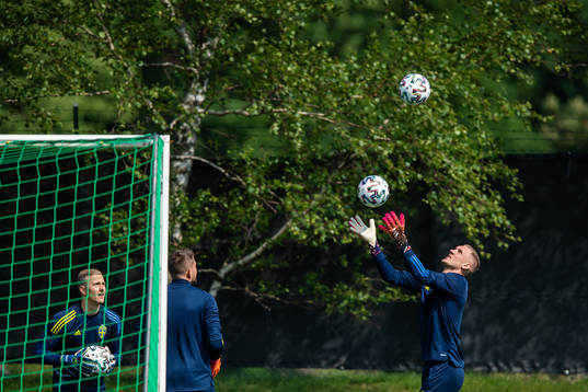 goalkeepers Karl-Johan Johnsson, Kristoffer Nordfeldt and