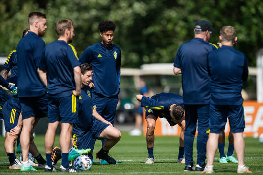 Jens Cajuste of the Swedish national football team at a