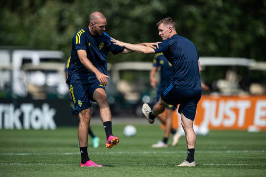 Marcus Danielson and Emil Krafth of the Swedish national