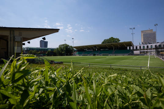 Hammarby IP