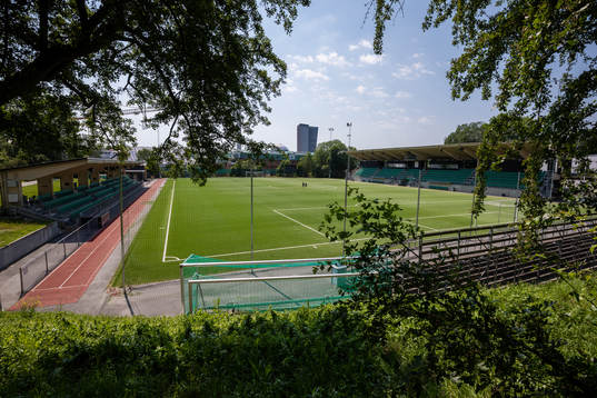Hammarby IP