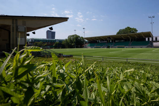 Hammarby IP