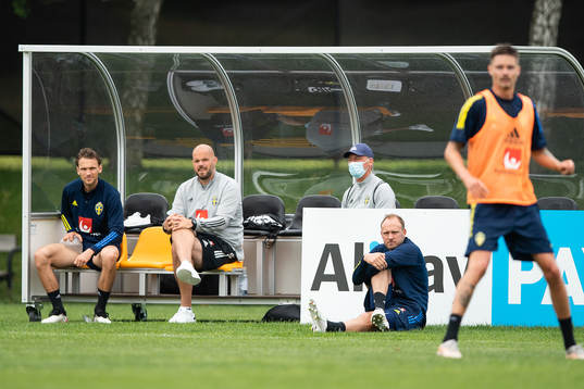 Albin Ekdal and Andreas Granqvist  of the Swedish national
