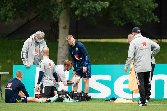 Sebastian Larsson of the Swedish national football team