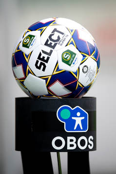 En boll