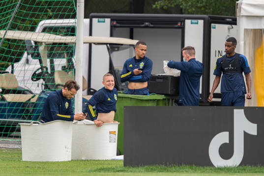 Albin Ekdal, Ludwig Augustinsson, Robin Quaison and