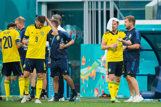 Marcus Berg and Sebastian Larsson of Sweden