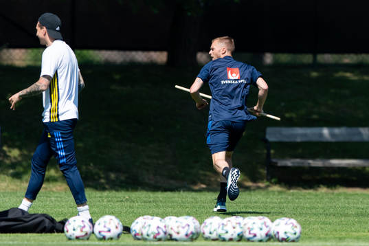 Sebastian Larsson of the Swedish national football team at