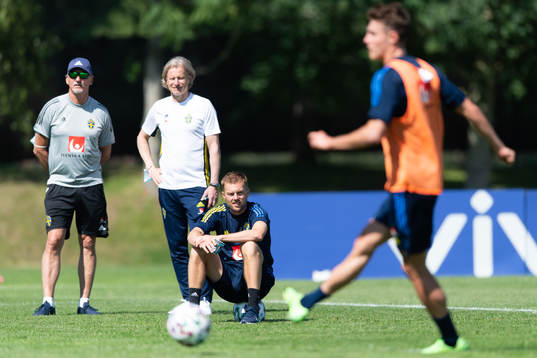 Sebastian Larsson of the Swedish national football team at