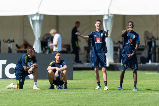 goalkeeper Kristoffer Nordfeldt, Gustav Svensson, Mikael