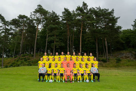 Players and coaches of the Swedish national football team