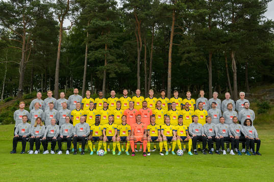 Players, coaches and support staff of the Swedish national