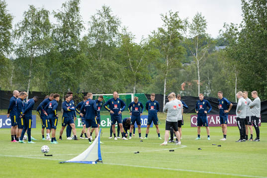 Players of the Swedish national football team at a training