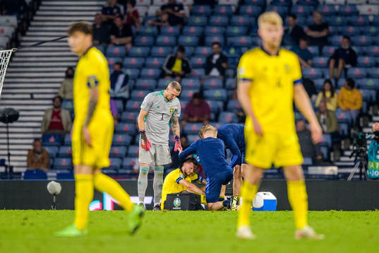 Marcus Berg of Sweden is injured