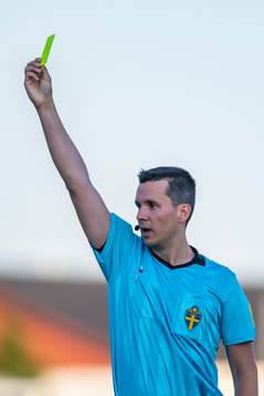 domare Ivan Prgomet