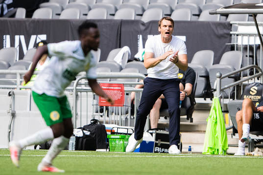 Hammarbys tränare Milos Milojevic