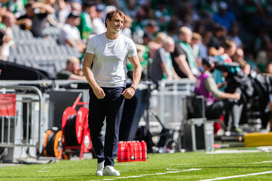 Hammarbys tränare Milos Milojevic deppar