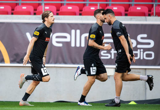 Häckens Erik Friberg