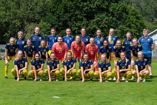 Sveriges F17-lag