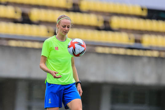 Amanda Ilestedt of the Swedish national women’s football