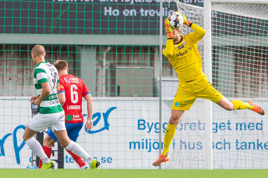 Helsingborgs målvakt Anders Lindegaard