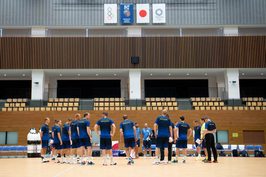 The Swedish handball team