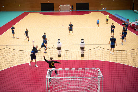 The Swedish handball team