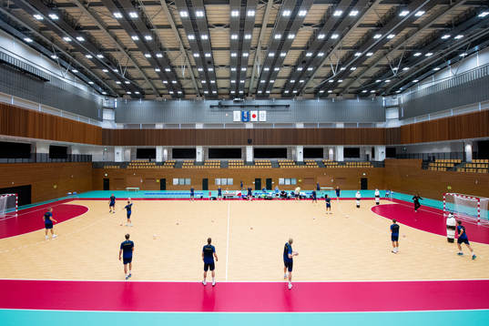 The Swedish handball team