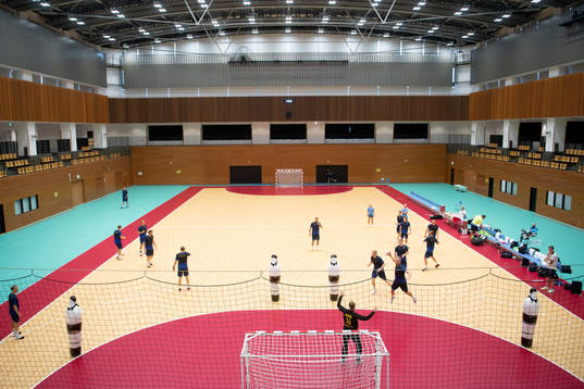 The Swedish handball team