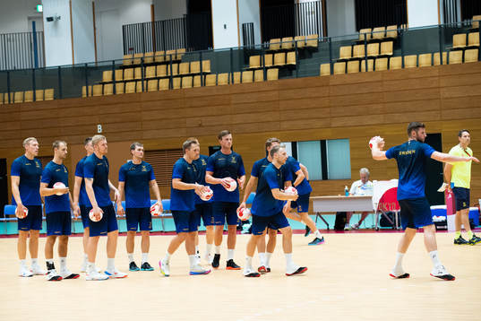 Tthe Swedish handball team
