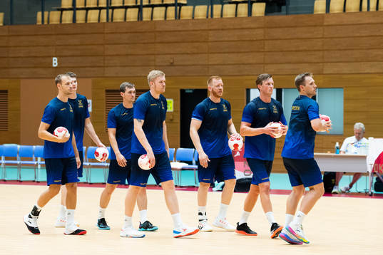 Tthe Swedish handball team