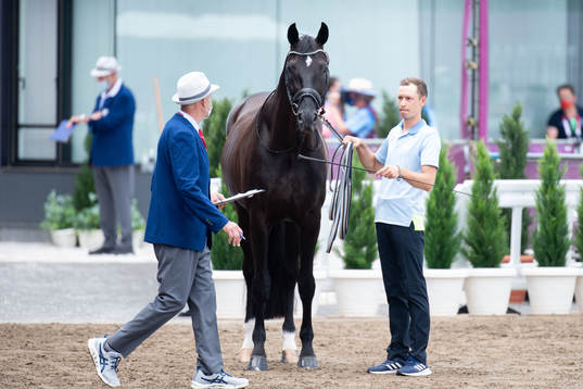 Horse keeper Sebastian Ulrich with the horse of Therese